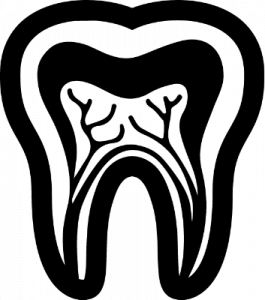 endodoncja
